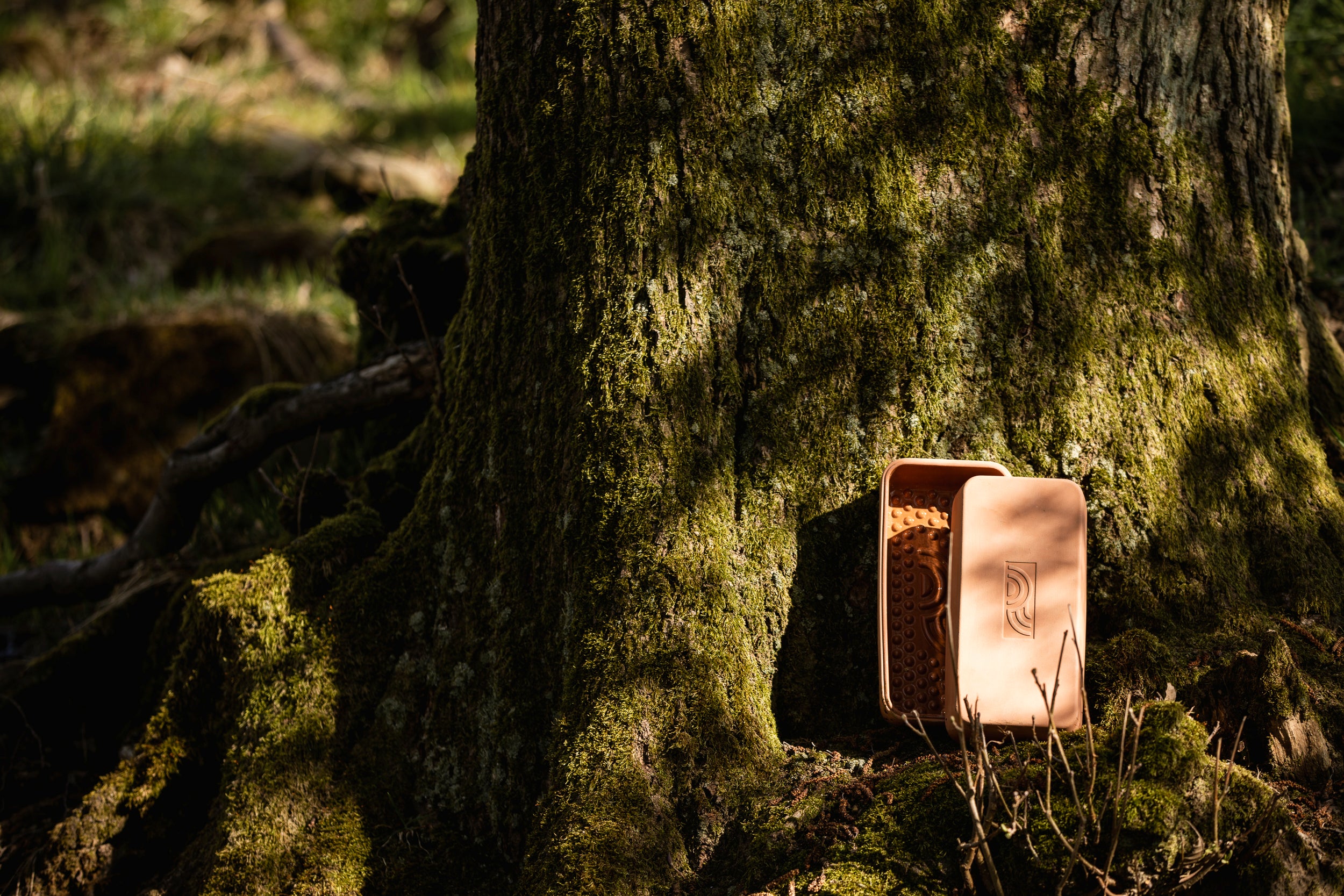 myromy Brick BBQ als kleiner Keramikbräter und Keramik-Backstein mit Noppenstruktur vor einem moosbewachsenen Baum in der Natur im Westerwald